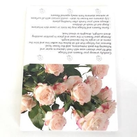 Pink Spray Rose Folding Card x 25