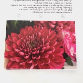 Pink Bloom Folding Card x 25