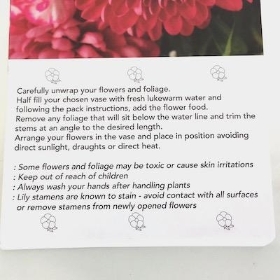 Pink Bloom Folding Card x 25