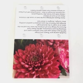 Pink Bloom Folding Card x 25