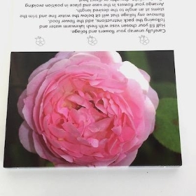 Pink Peony Folding Card x 25