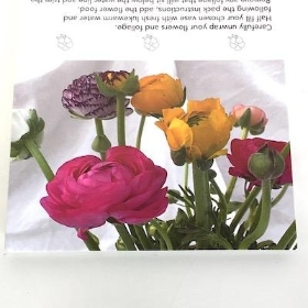 Mixed Ranunculus Folding Card x 25