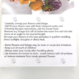Mixed Ranunculus Folding Card x 25