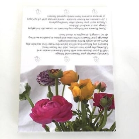 Mixed Ranunculus Folding Card x 25