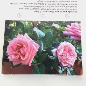 Pink Roses Folding Card x 25