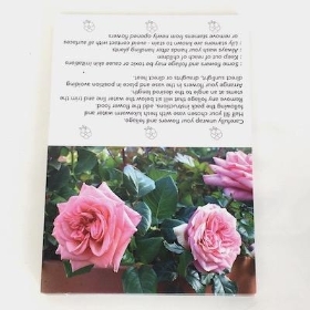 Pink Roses Folding Card x 25