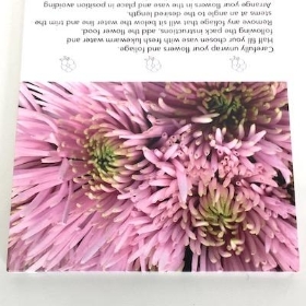 Pink Chrysanthemum Folding Card x 25 