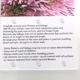 Pink Chrysanthemum Folding Card x 25 