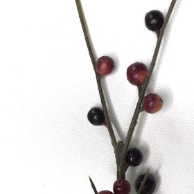 Burgundy Berry Spray 78cm