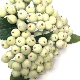 Frosted Green Berry Bundle 24cm