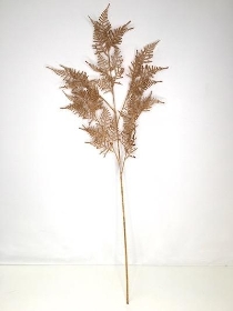 Brown Asparagus Fern 102cm