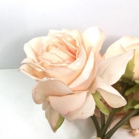 Peach Rose Bundle 25cm