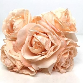 Peach Rose Bundle 25cm
