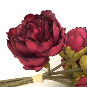 Burgundy Peony Bundle 25cm