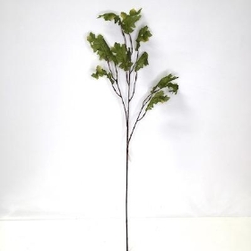 Green Oakleaf 85cm