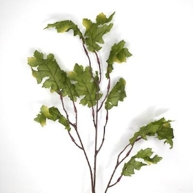 Green Oakleaf 85cm