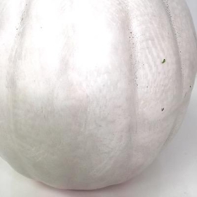 White Pumpkin 22cm