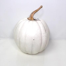 White Pumpkin 22cm