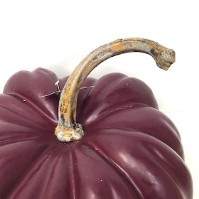 Burgundy Pumpkin 30cm