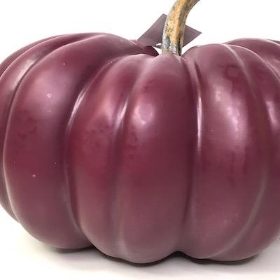 Burgundy Pumpkin 30cm