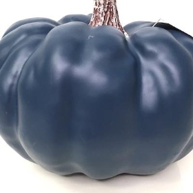 Blue Pumpkin 14cm
