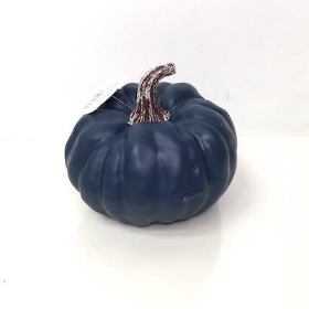 Blue Pumpkin 14cm