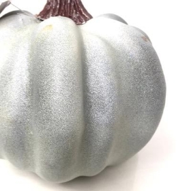 Blue Grey Pumpkin 12cm
