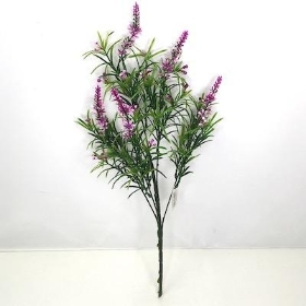 Plum Lavender Bush 49cm